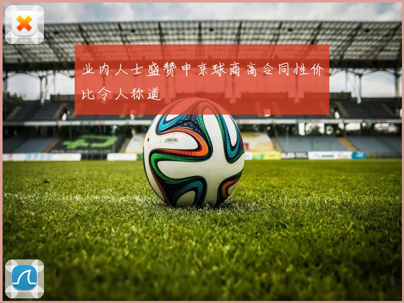 业内人士盛赞申京球商高合同性价比令人称道