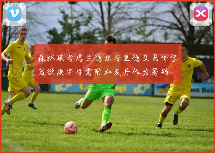 森林狼考虑兰德尔与里德交易价值若欲换字母需附加麦丹作为筹码